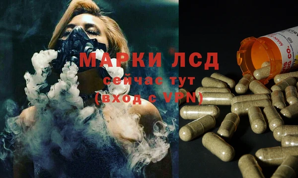 хмурый Алзамай