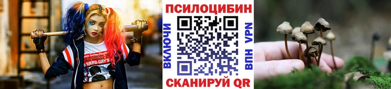 Галлюциногенные грибы Psilocybine cubensis  Зарайск 